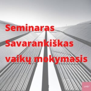 Seminaras savarankiskas vaiku mokymasis