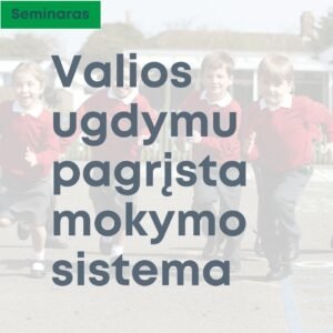 valios ugdymu pagrįsta mokymosi sistema seminaras